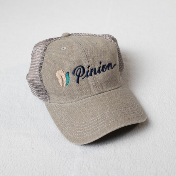 dadHat_2_Mesh dadHat_2_Mesh