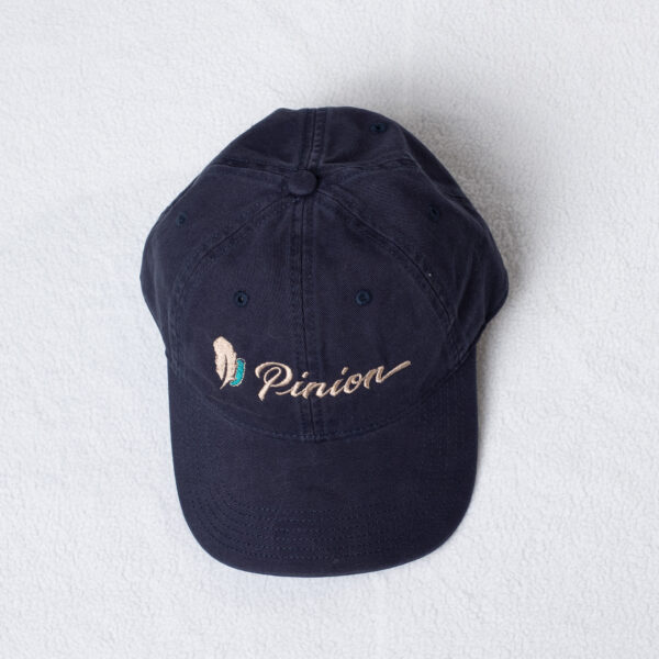 dadHat_blue dadHat_blue