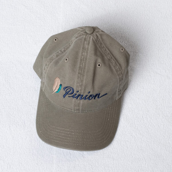 dadHat_greay dadHat_greay