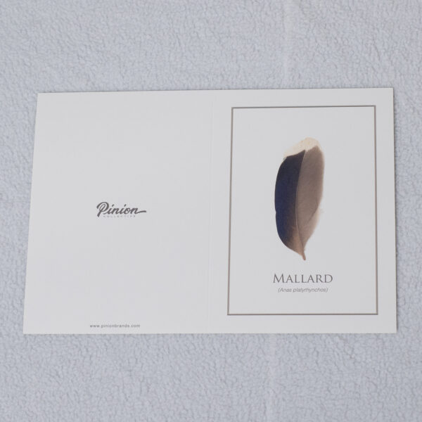 mallardCard_5x7 mallardCard_5x7