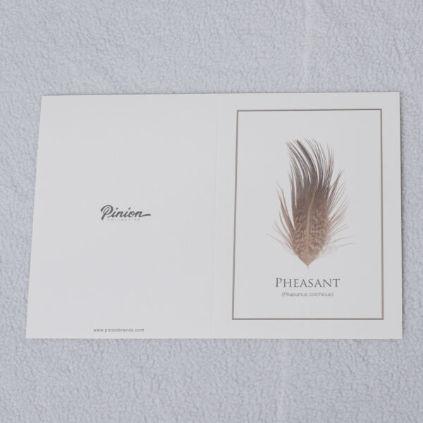 pheasantCard_5x7 pheasantCard_5x7