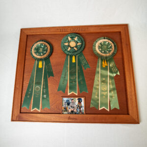 Grand Award Displays