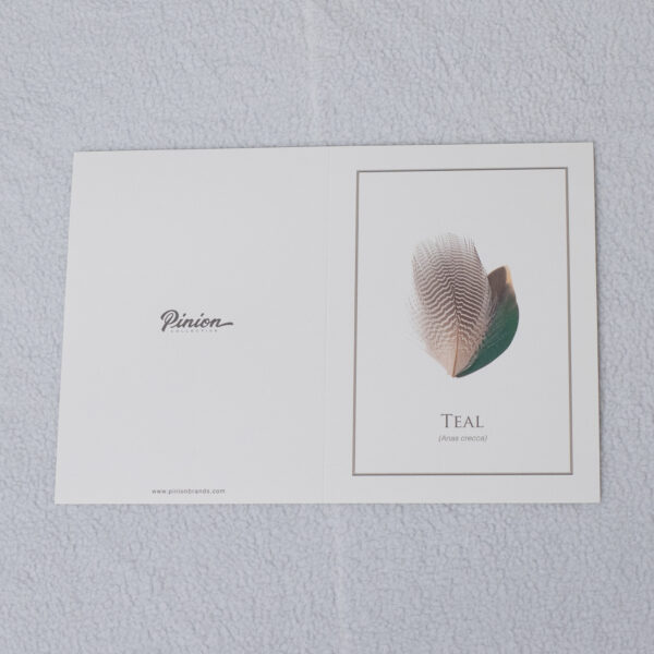tealCard_5x7 tealCard_5x7