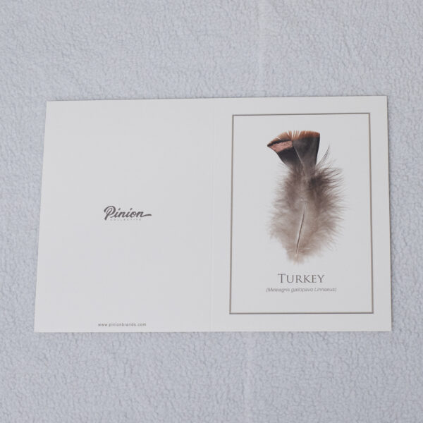 turkeyCard_2 turkeyCard_2