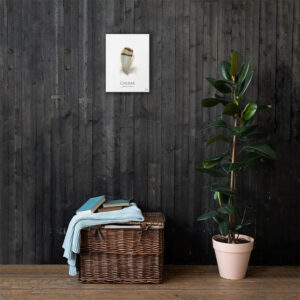 Feather artwork, wicker basket, plant in modern room.
