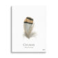 Chukar feather illustration on white background