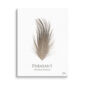 Pheasant feather illustration on canvas