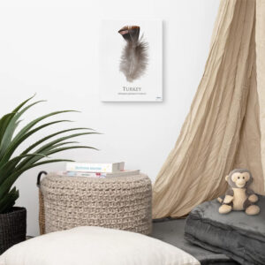 Nursery room with turkey feather wall art.