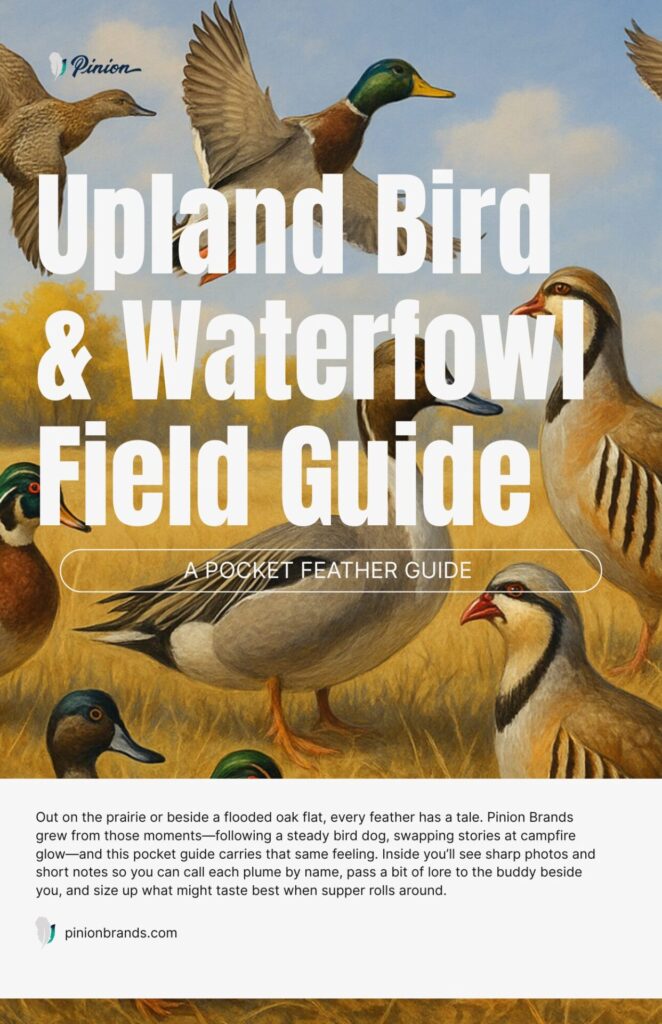 Upland bird and waterfowl guide cover illustration.