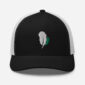 Black and white cap with feather design.