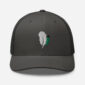 Gray cap with embroidered feather design