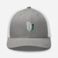 Gray cap with embroidered green feather design