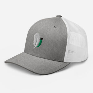 Gray cap with feather embroidery design.