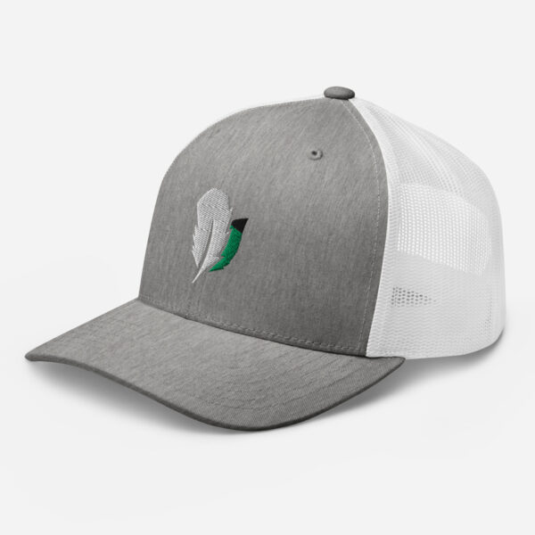 Gray cap with feather embroidery design.