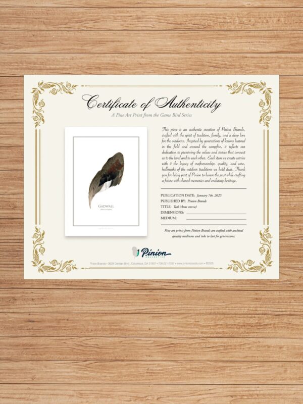pinionGadwallCertAuth Certificate of Authenticity for Gadwall artwork.