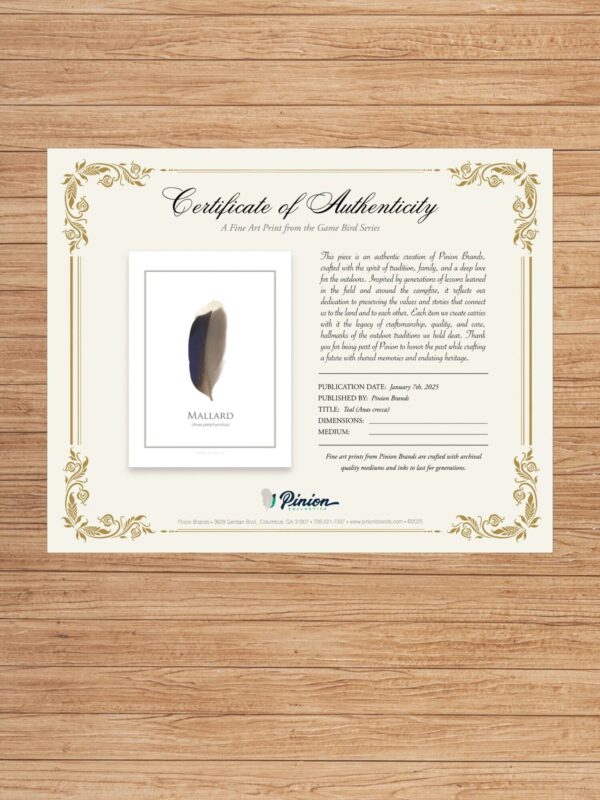pinionMallardCertauth Certificate of Authenticity for Mallard print