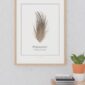 Framed pheasant feather illustration on white wall.
