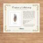 Certificate of Authenticity with pheasant feather print.