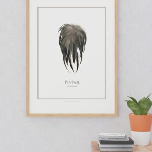 Framed pintail feather illustration on wall above cabinet.