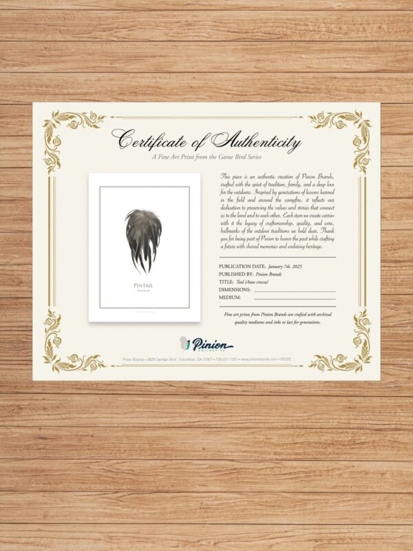 pinionPintailCertAuth Certificate of authenticity for pintail art print.