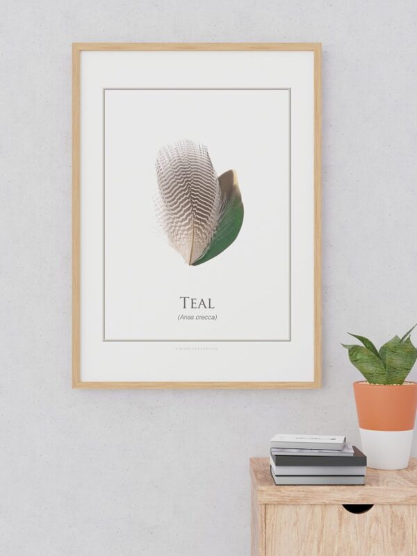 pinionTealArtFramed Teal feather art print on wall above plant