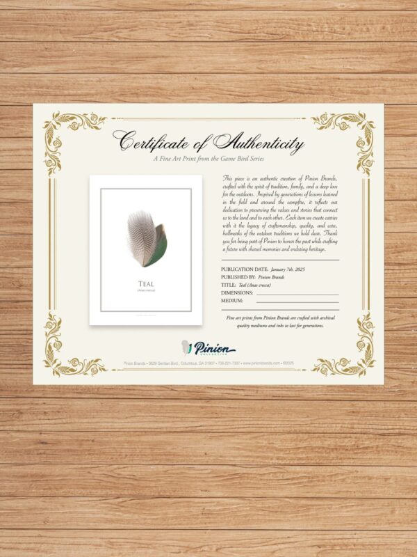 pinionTealCertAuth Teal feather art certificate on wooden background.
