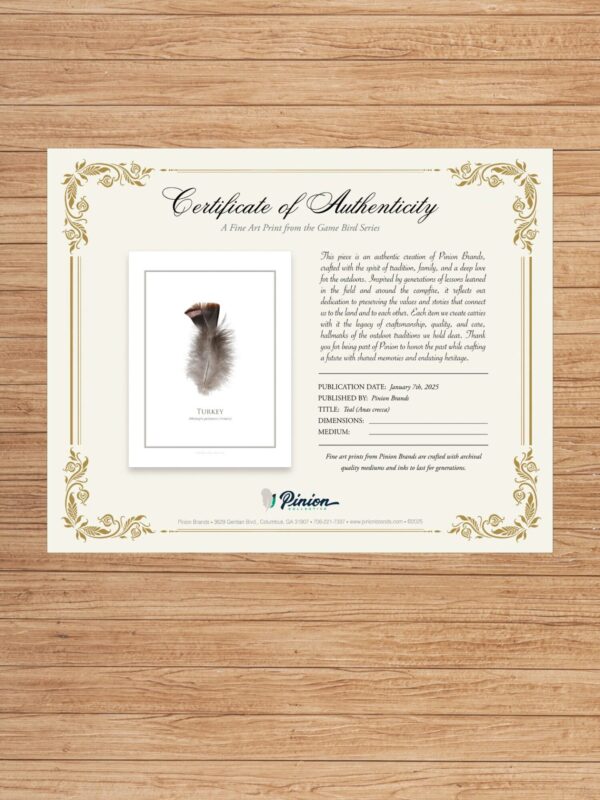 pinionTurkeyCertAuth Certificate of Authenticity for game bird art print.