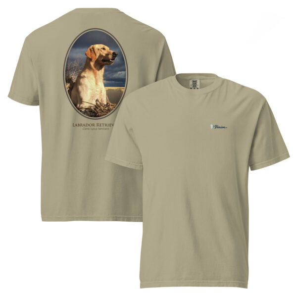 unisex-garment-dyed-heavyweight-t-shirt-khaki-front-and-back-68dbf87a1a370.jpg Labrador Retriever printed on beige T-shirt, nature background.