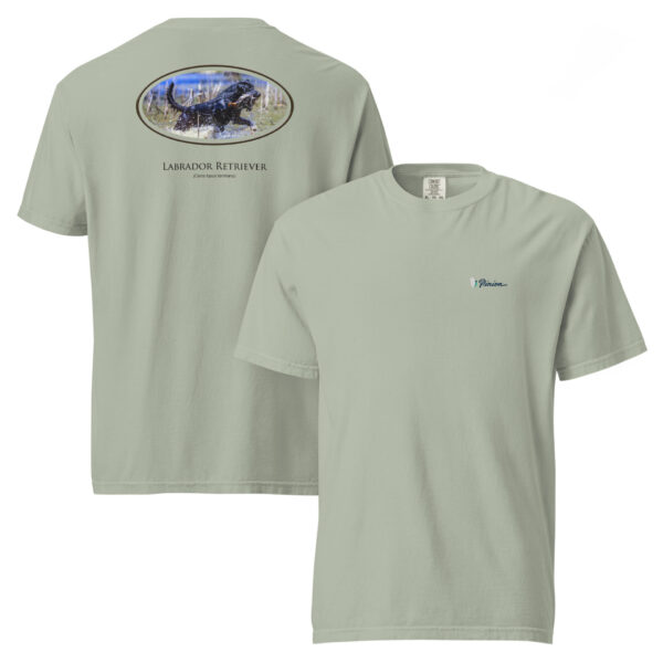 unisex-garment-dyed-heavyweight-t-shirt-bay-front-and-back-68dd5fb8f1d75.jpg Labrador Retriever graphic t-shirt, light gray color.