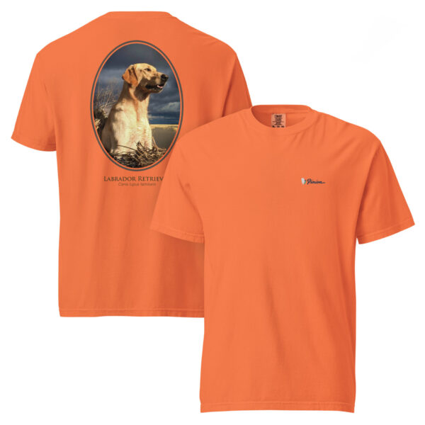 unisex-garment-dyed-heavyweight-t-shirt-burnt-orange-front-and-back-691cf0b22c29e.jpg Orange t-shirt with Labrador Retriever print.