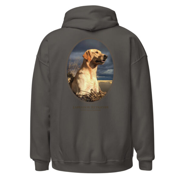 unisex-heavy-blend-hoodie-charcoal-back-6925c2a9ba3b6.jpg Hoodie with Labrador Retriever design
