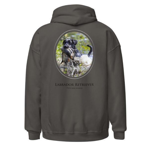 unisex-heavy-blend-hoodie-charcoal-back-6925fae92b148.jpg Sweatshirt with Labrador Retriever hunting graphic.