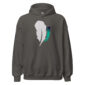 Gray hoodie with feather design on front