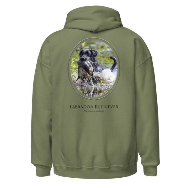 Green hoodie with Labrador Retriever design.