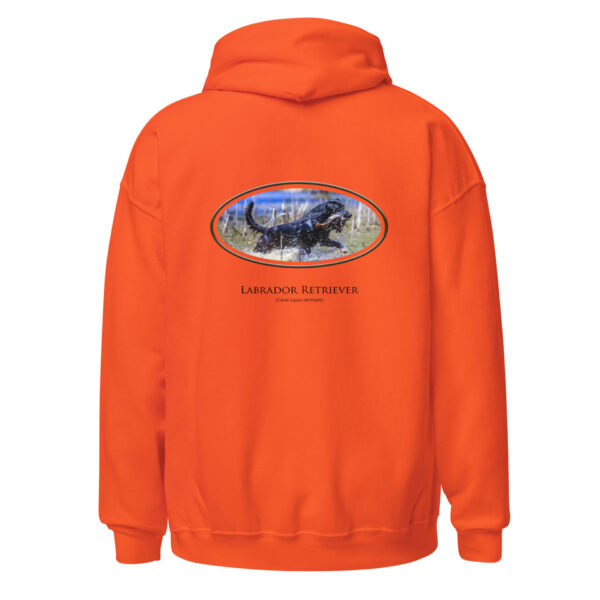 unisex-heavy-blend-hoodie-orange-back-692477ccdc50c.jpg Orange hoodie with Labrador Retriever graphic
