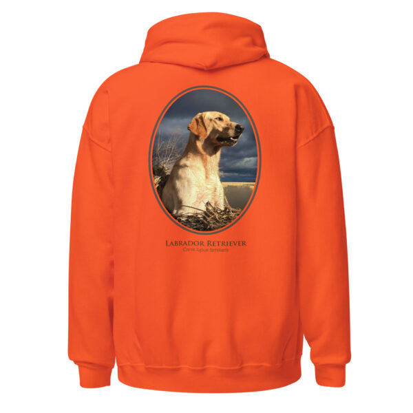 unisex-heavy-blend-hoodie-orange-back-6925c2a9e40fb.jpg Orange hoodie with Labrador Retriever graphic.