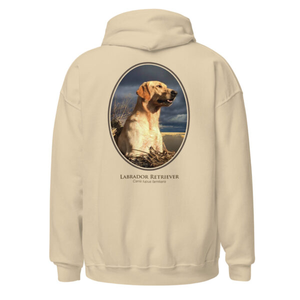 unisex-heavy-blend-hoodie-sand-back-6925c2aa28cdf.jpg Hoodie with Labrador Retriever design, beige color.