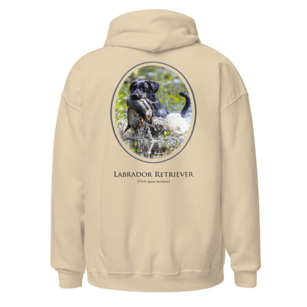 unisex-heavy-blend-hoodie-sand-back-6925fae9582bf.jpg Hoodie with Labrador Retriever design.