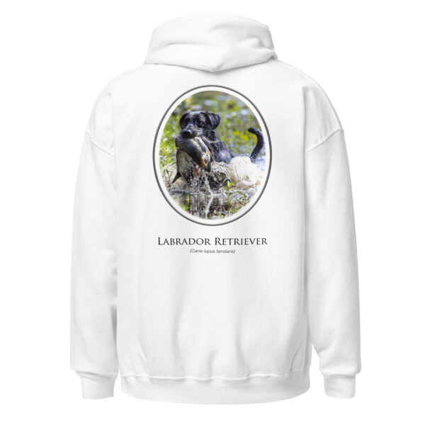 unisex-heavy-blend-hoodie-white-back-6925fae96b99d.jpg Labrador Retriever hoodie with hunting dog graphic.