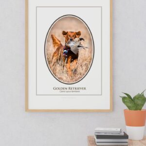 Golden Retriever framed photo on wall near plant.