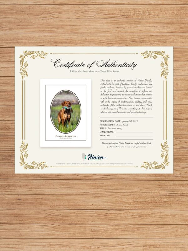 3 Certificate of Authenticity for Golden Retriever art print.