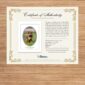 Certificate of Authenticity for Golden Retriever art print.