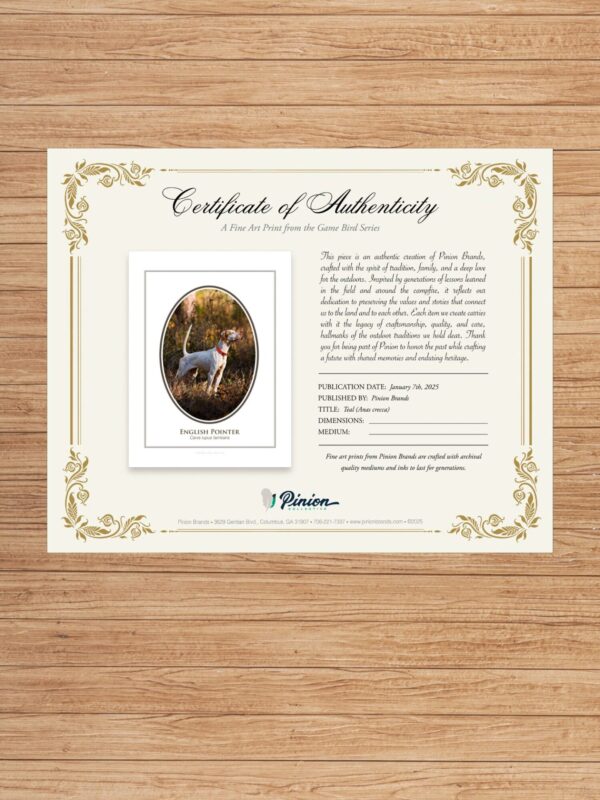 3 Certificate of Authenticity for English Pointer art print.