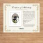 Certificate of Authenticity for art print on wood