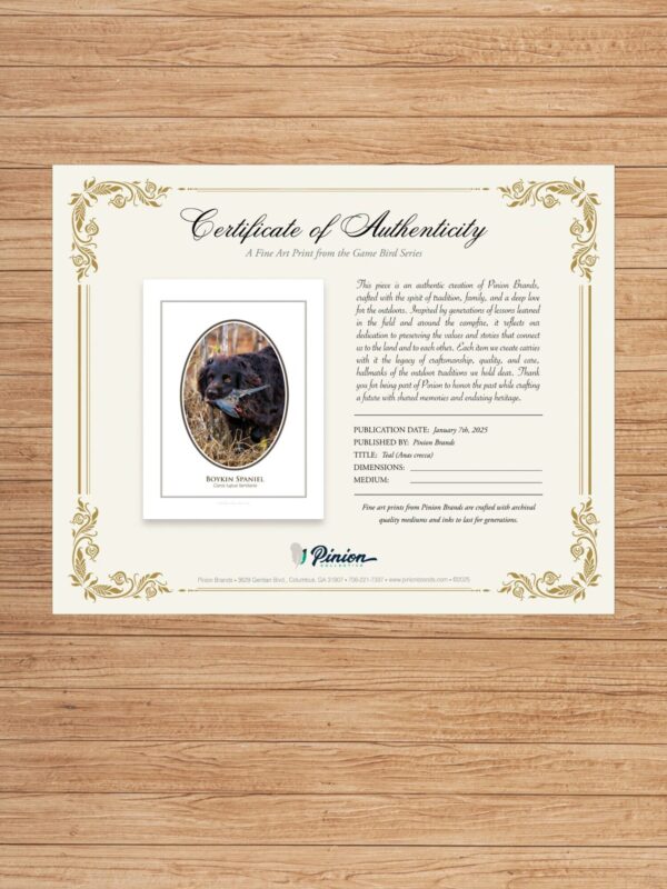 3 Certificate of authenticity on wooden surface