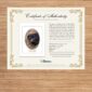 Certificate of authenticity on wooden surface