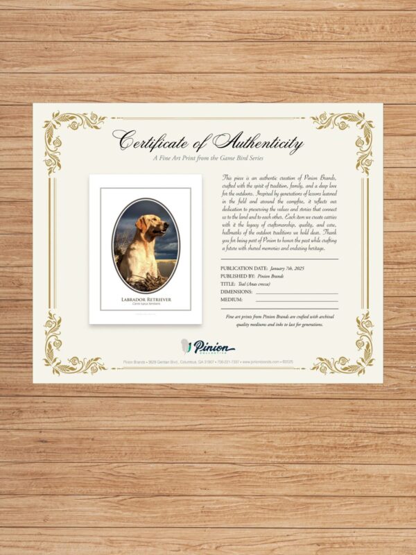 3 Certificate of Authenticity with Labrador Retriever artwork.