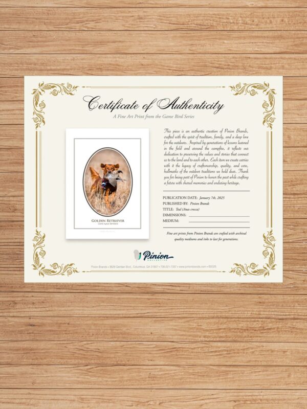 3 Certificate of authenticity for fine art print.