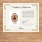 Certificate of authenticity for fine art print.