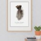 Framed Eastern Turkey feather artwork on wall.